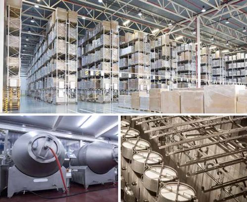 因為這個小東西，我被辦公室的美女們圍了一上午